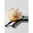View all media