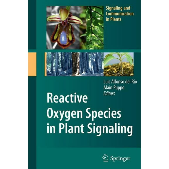 Signaling and Communication in Plants Reactive Oxygen Species in Plant Signaling, (Paperback)