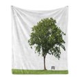thumbnail image 1 of Tree Soft Flannel Fleece Throw Blanket, Bench Under Majestic Tree Looks Like Solitude in Habitat Environment Design, Cozy Plush for Indoor and Outdoor Use, 50" x 70", Green White, by Ambesonne, 1 of 6