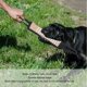 thumbnail image 3 of Almohada Para Mordeduras De , Almohada Para Tirar De Perros, Diversión Dura Para Perros Medianos Y Grandes, 3 of 7