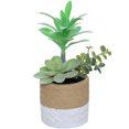 thumbnail image 1 of Mini plantas en macetas suculentas artificiales, pequeños adornos creativos, plantas verdes de plástico, plantas en macetas de simulación, 1 of 5