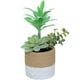 thumbnail image 1 of Mini plantas en macetas suculentas artificiales, pequeños adornos creativos, plantas verdes de plástico, plantas en macetas de simulación, 1 of 5