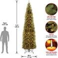thumbnail image 3 of National Tree Company Prelit Kingswood Fir 12ft Pencil Artificial Tree, 3 of 5