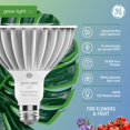 thumbnail image 3 of GE Grow LED Light Bulb, PAR38 Flood Light for Fruits and Flowers, E26 Medium Base, 1pk, 3 of 9