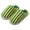 Green, variant on Winter Slippers for Women Memory Foam Classic Striped Shoes Fuzzy Indoor And Outdoor Casual Anti-Slip Womens Slippers