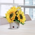 thumbnail image 1 of Flor De Luz LED Girasol Maceta Luz de noche Bonsai Mesa Luz Flor Lámpara de escritorio (C), 1 of 8