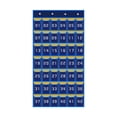thumbnail image 1 of Langgg Childrens Literacy Card Organizer Pocket Chart Holds Cellphones Calculators With Multiple Storage Options Small Items. 42 Pockets Blue, 1 of 6