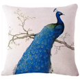 thumbnail image 2 of PEACOCK EXOTICA Cushion Covers In Pairs, 2 of 3