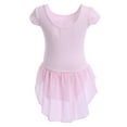 thumbnail image 3 of IBTOM CASTLE Kid Girls Short Cap Sleeve Ballet Dance Dress Bowknot Chiffon Tutu Skirted Leotard Ballerina Dancewear Gymnastics Costume 18-24 Months Pink, 3 of 8