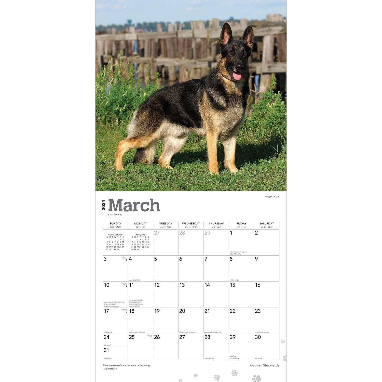 BrownTrout German Shepherds 2024 12x24 Inch Square Wall Calendar, 9781975462833