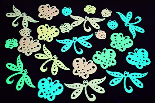 Directglow 24 Piece Glow In The Dark Multicolor Butterflies & Bugs