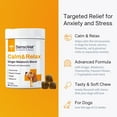thumbnail image 3 of SensoVet Calm & Relax Soft Chews for Dogs - Ginger Melatonin Blend, 3 of 8