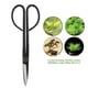 thumbnail image 4 of Tijeras De Podar Para Bonsái De Mango Largo, Acero Inoxidable Duradero De 205 Mm, Ideales Para Cortes De Precisión En Plantas Y Jardines En Macetas, 4 of 14
