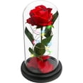 thumbnail image 3 of Regalos de flores de rosas para mamá, regalos de cumpleaños para esposa, regalos del día de la madre de rosas para futuras mamás, regalos de flores de rosas artificiales en cúpula de cristal, regalos del día de San Valentín para ella, regalos pensados ​​para el día de la madre a las madres Rojo Verde, 3 of 5