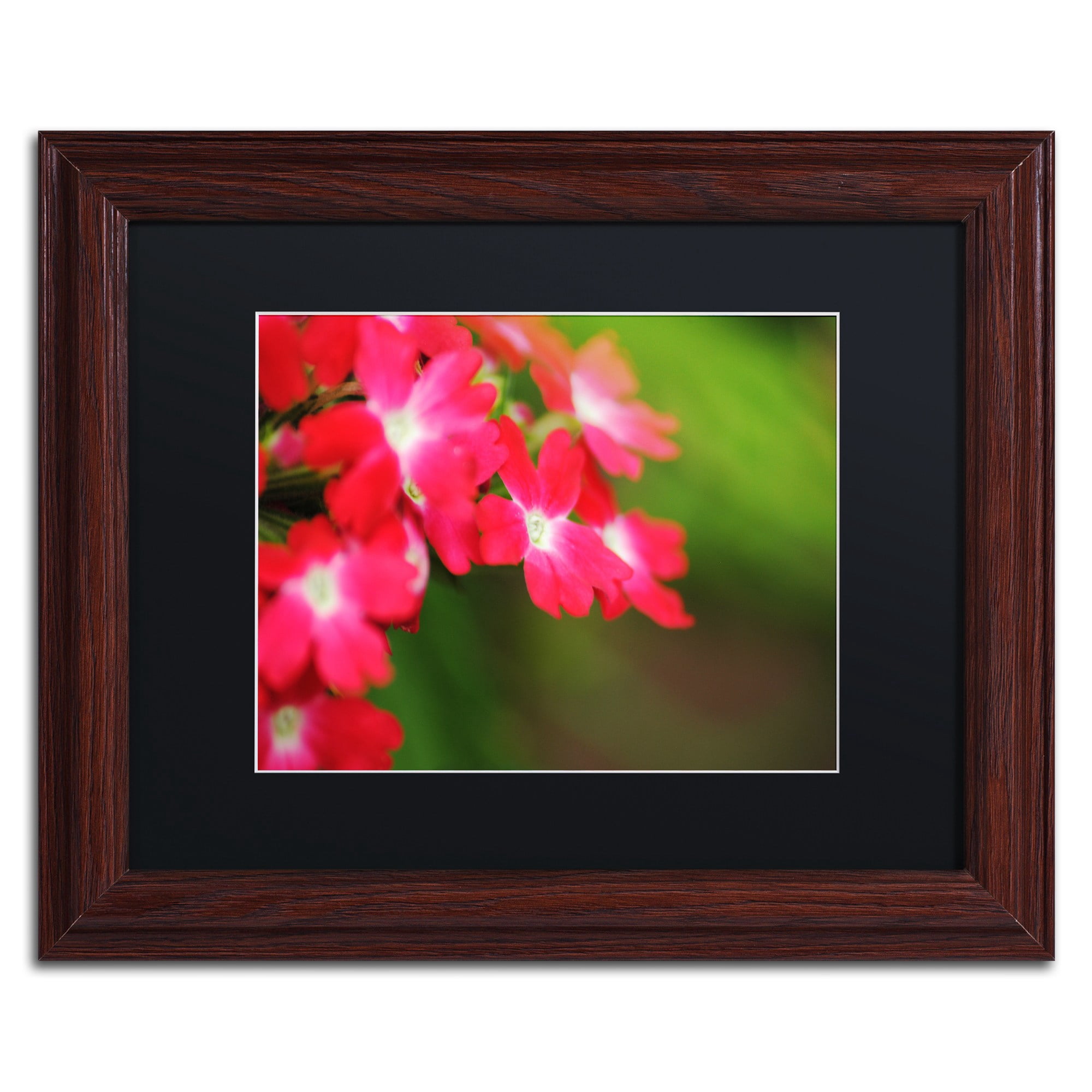 Trademark Fine Art "Paired Ornament" Canvas Art by Monica Mize, Black Matte, Wood Frame