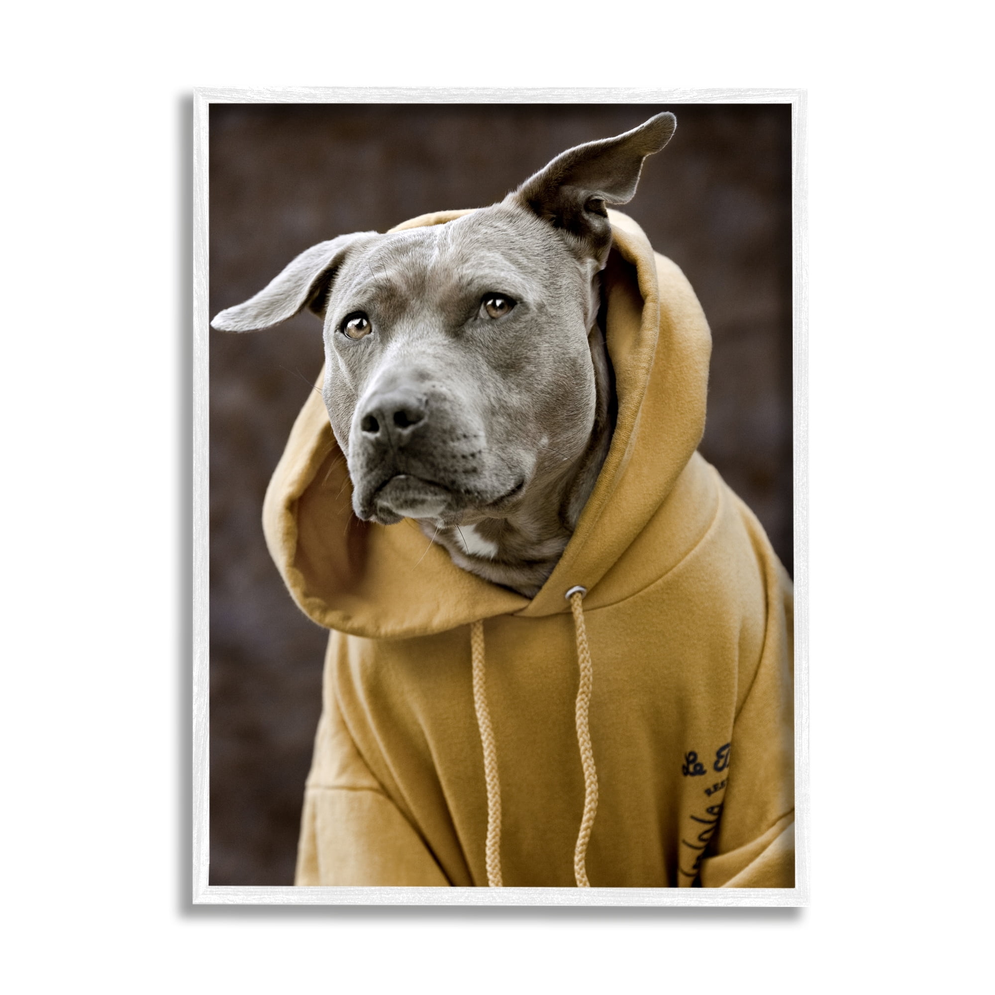 Stupell Industries Smiling Labrador Dog Wearing Hooded Yellow Sweatshirt Photograph White Framed Art Print Wall Art, Design by Michael Brian