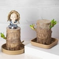 thumbnail image 3 of Plastic Brazilian Wood Pallet Imitation Texture Decorative Tableware Tray Easy Clean, 3 of 3