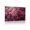D, variant on XaaKee Pink Leopard Flowers Butterflies Artistic Wall Art Painting Canvas Prints Wall Art Inner Framed 18*12Inch