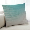 thumbnail image 1 of Ahgly Company Earth Nature Indoor Throw Pillow, 18 inch by 18 inch, 1 of 1