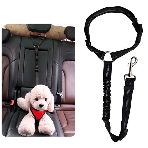 Durable Elastic Dog Leash with Reflective Strip and Secure Circular Ring for Pet Control