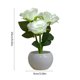 thumbnail image 3 of CaiYueKe USB Night Light Flower Pot Lamp, Mini Decorative Home Decor, Ceramic Table Lamp for Bedroom, Desk Lamp Ambient Lighting, Romantic Gift for Women, Housewarming, Wedding, Christmas Decoration, 3 of 7