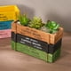 thumbnail image 1 of 3 pc Macetas de plantas en maceta de balcón suculento de madera maciza macetas rectangulares bonsái caja de madera dividida, 1 of 5
