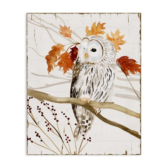 Stupell Industries Rustic Lodge Owl In Autumnal Forest Canvas Art, 16 x 20, by Victoria Borges