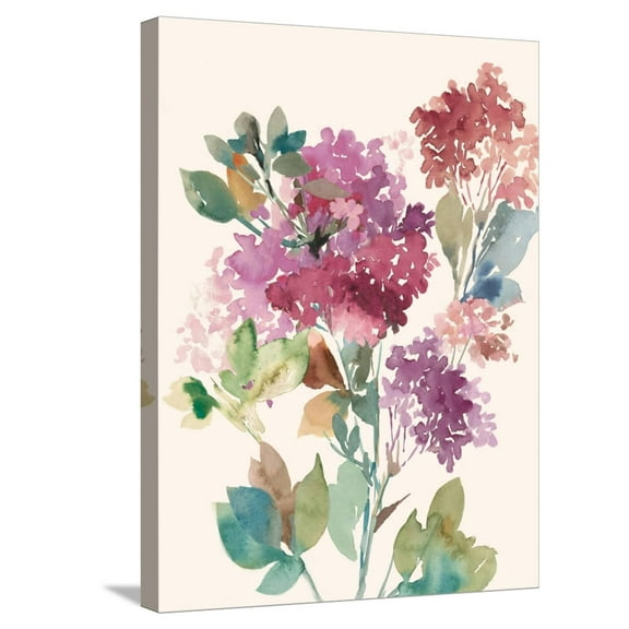 Art.com Sweet Hydrangea I Stretched Canvas Print Wall Art by Asia Jensen, 18" x 24"