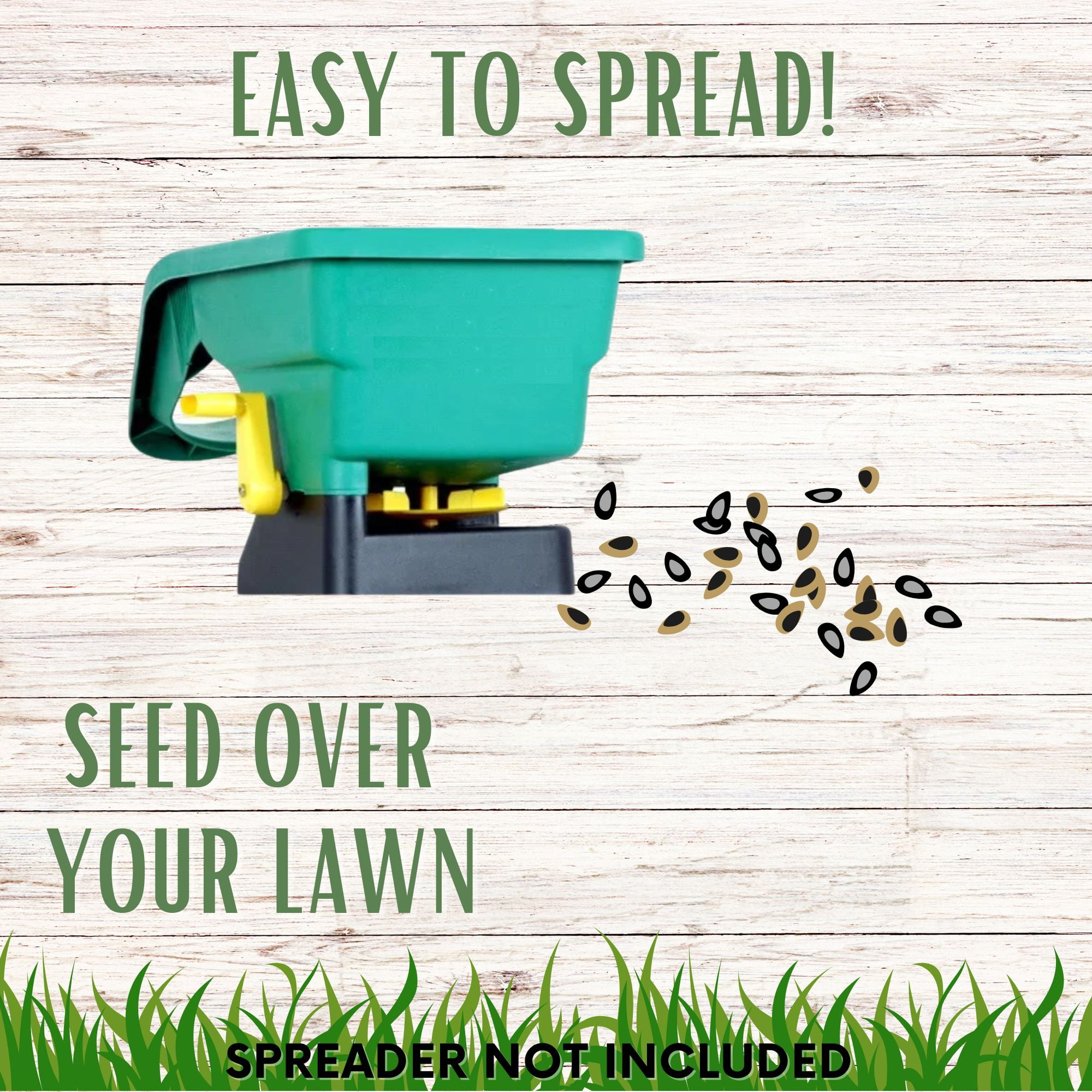 Flawn Seed Kits Starter Kit Fine Fescues Grass Seeds, 2 lbs - Drought-Tolerant