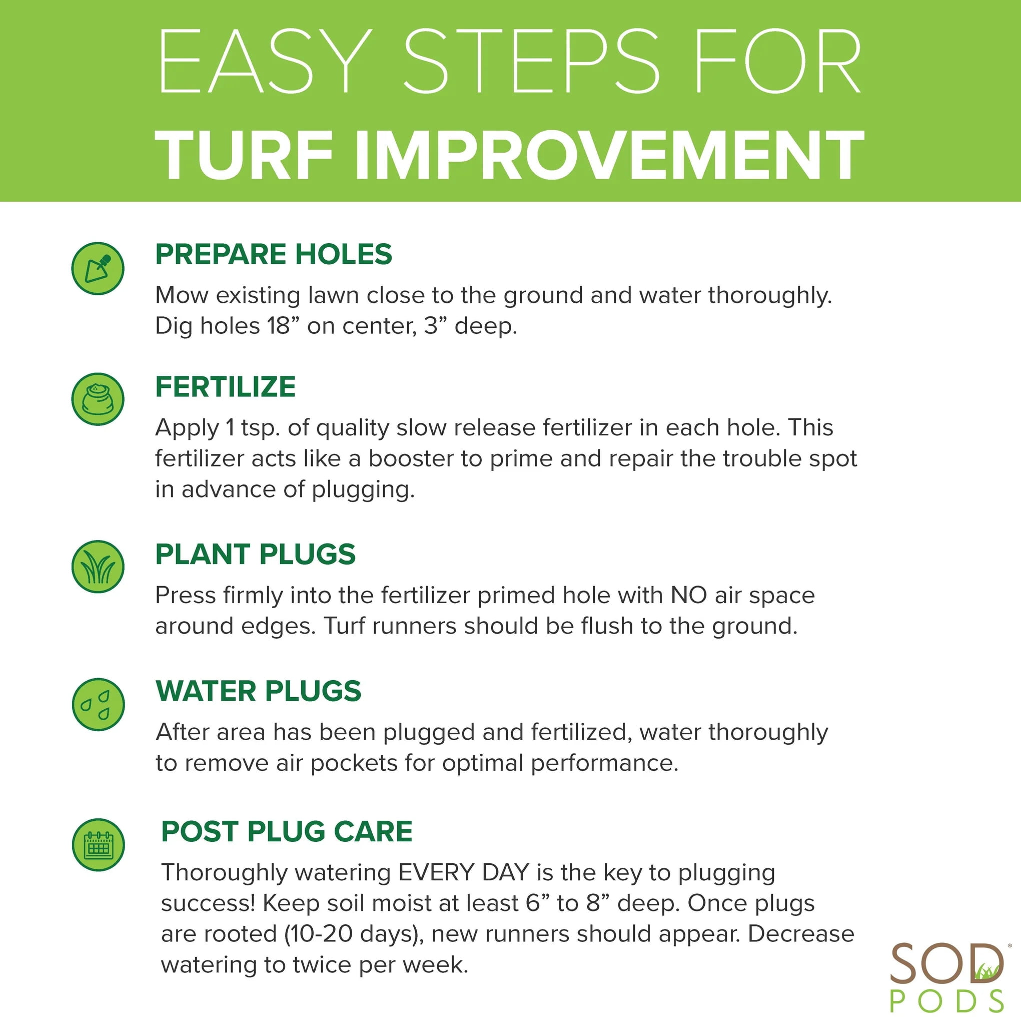 SodPods Centipede Grass Plugs (64 Count) Natural, Affordable Lawn Improvement