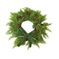 thumbnail image 2 of 50cm Artificial Norfolk Pine Wreath, Christmas Simulation Door Hanging Flower Wreath Decoration, Realistic Plastic Green Garland for Fireplace Stair Door Wall, Flexible Festive Holiday Home Decor, 2 of 6