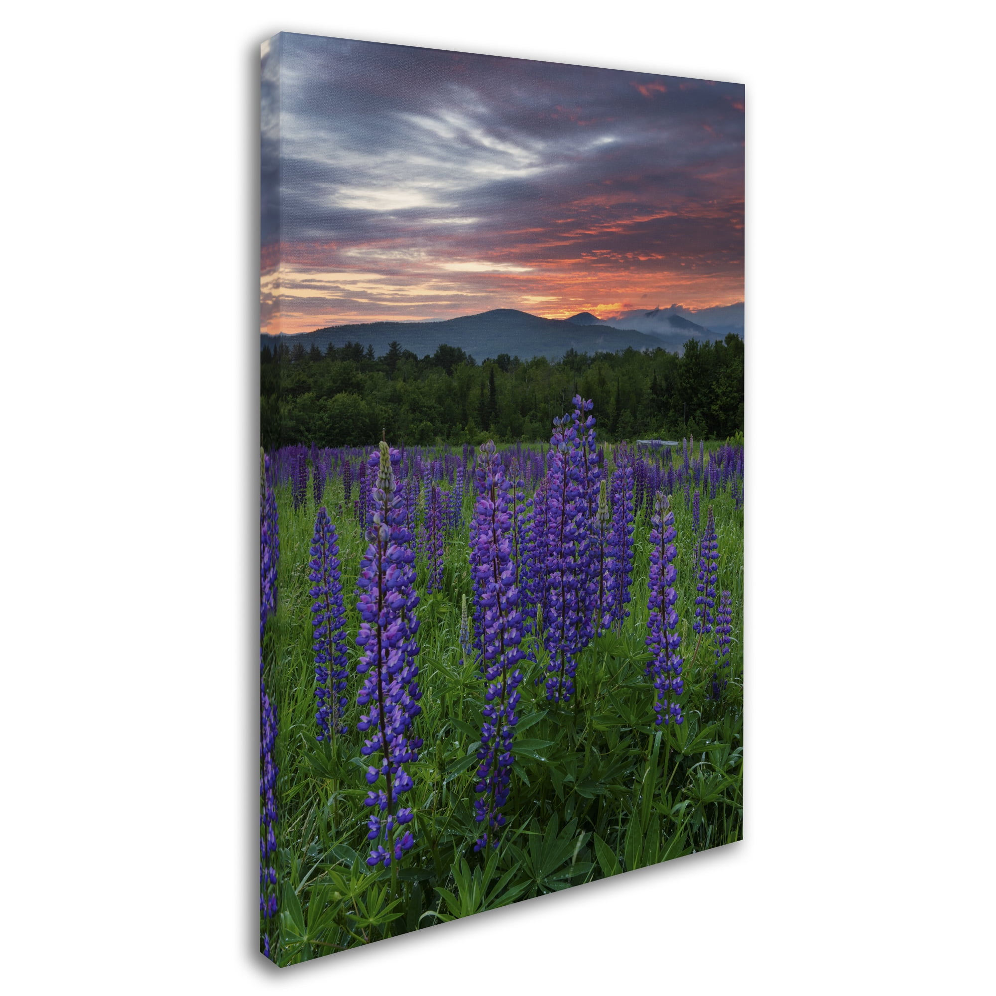 Trademark Fine Art 'Fire in the Sky' Canvas Art by Michael Blanchette Photography