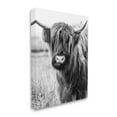 thumbnail image 3 of Stupell Industries Closeup Longhorn Cattle Grazing Monochrome Photography Canvas Wall Art, 16 x 20, Design by Amy Brinkman, 3 of 5