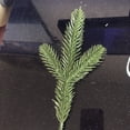 thumbnail image 3 of Ramas de pino artificial navideñas para decorar 25 piezas WD.WDQZL Hogar, 3 of 5