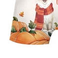 thumbnail image 5 of Happy Thanksgiving Ragdoll with Turkey Pumpkins Autumn Vibes All Over Print Boxer Briefs Underwear for Men Dad Cat Lover Kitten Owner Gifts Idea - 12018, 5 of 6