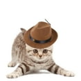 thumbnail image 4 of Sombrero de vaquero para mascotas para conejo Cosplay para Marrón Zulema Sombrero de vaquero para mascotas, 4 of 7