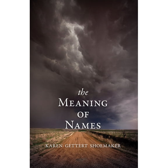 The Meaning of Names, (Paperback)