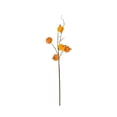 thumbnail image 2 of Velvet Pumpkin Branch Picks,Fall Harvest Floral Stems,Halloween Mantel Decor,Thanksgiving Table Centerpiece,Farmhouse Vase Filler,Indoor Seasonal Twig Ornament,Fake Pumpkin Floral Arrangement, 2 of 6