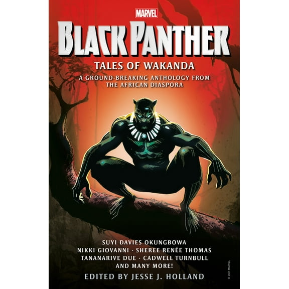 Black Panther: Tales of Wakanda, (Paperback)