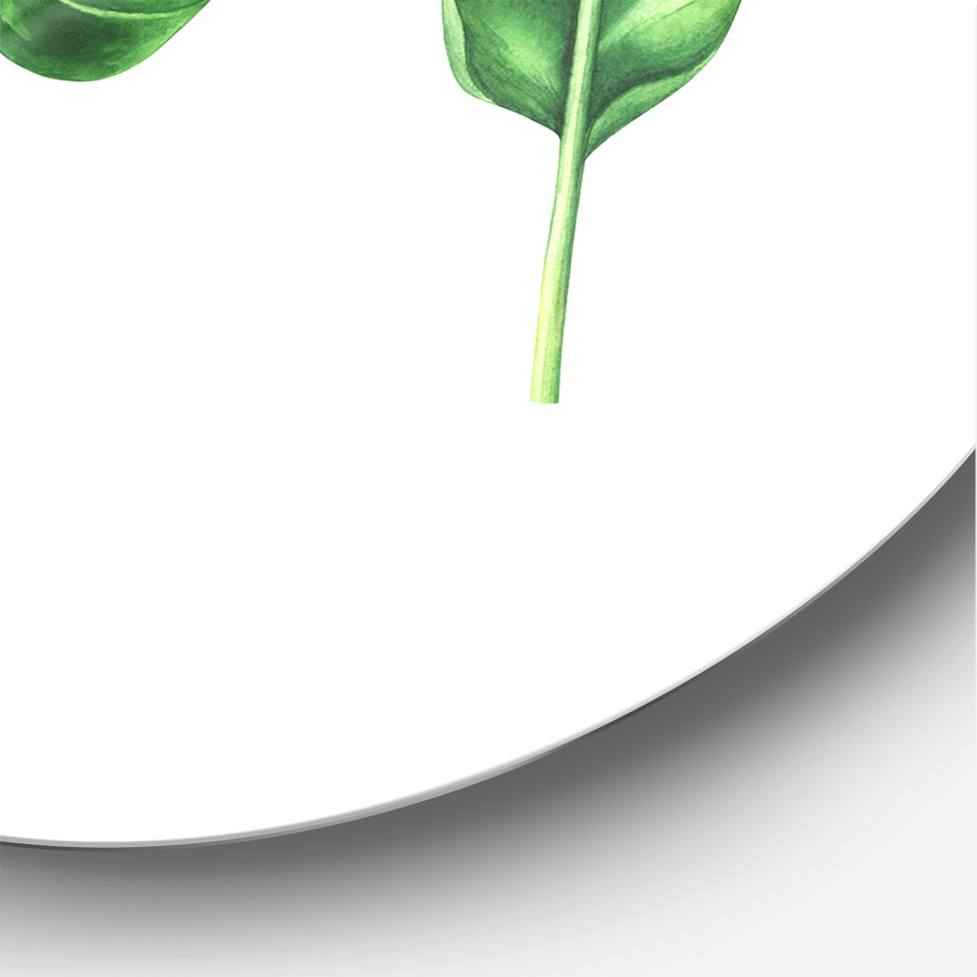 Designart 'Close Up Of Tropical Leaf Of Monstera IV' Farmhouse Circle Metal Wall Art 29x29 - Disc of 29