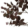 thumbnail image 3 of Hill Interiors Eucalyptus Artificial Plant, 3 of 4