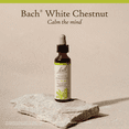 thumbnail image 5 of Bach Original Flower Remedies, White Chestnut - 20 mL Dropper, 5 of 6