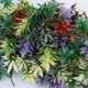 thumbnail image 4 of 100 Unids Plantas Florecientes Paisaje Paisaje, 4 of 9