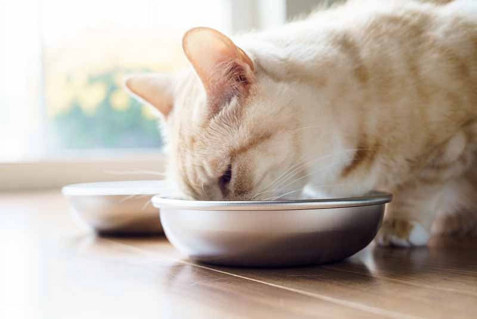 Stainless Steel Cat Bowl for Food & Water by Americat – Made in USA – Dishwasher Safe, Whisker Friendly, 1 Bowl