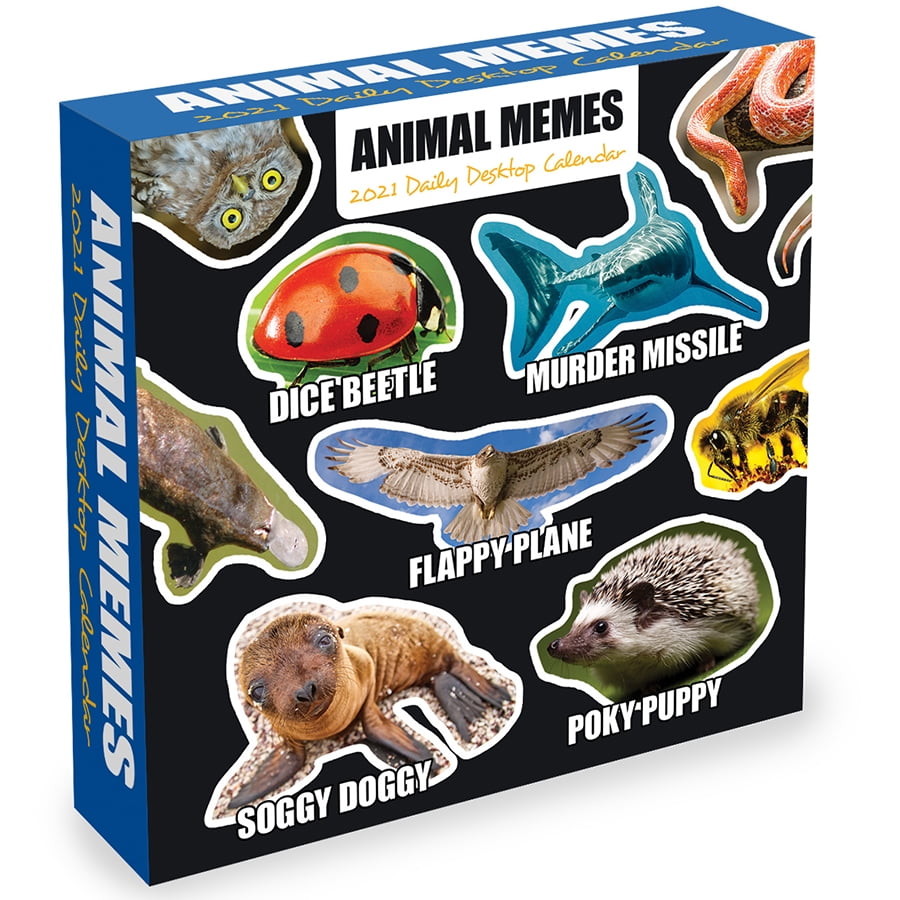 2021 Animal Memes 5.5"x5.5" Humor Daily Desktop Calendar ...