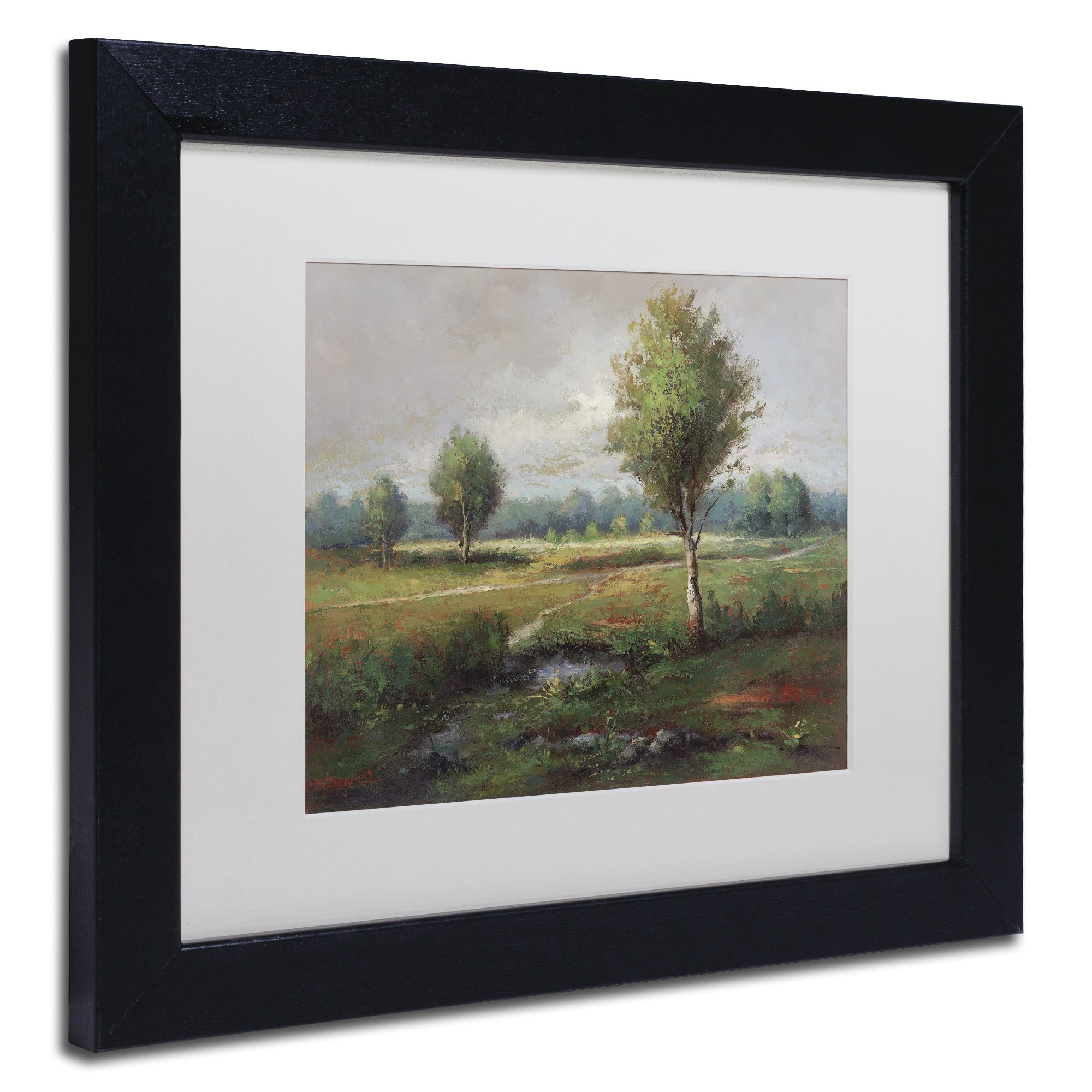 Trademark Fine Art "Lonely Tree" Canvas Art by Daniel Moises, White Matte, Black Frame
