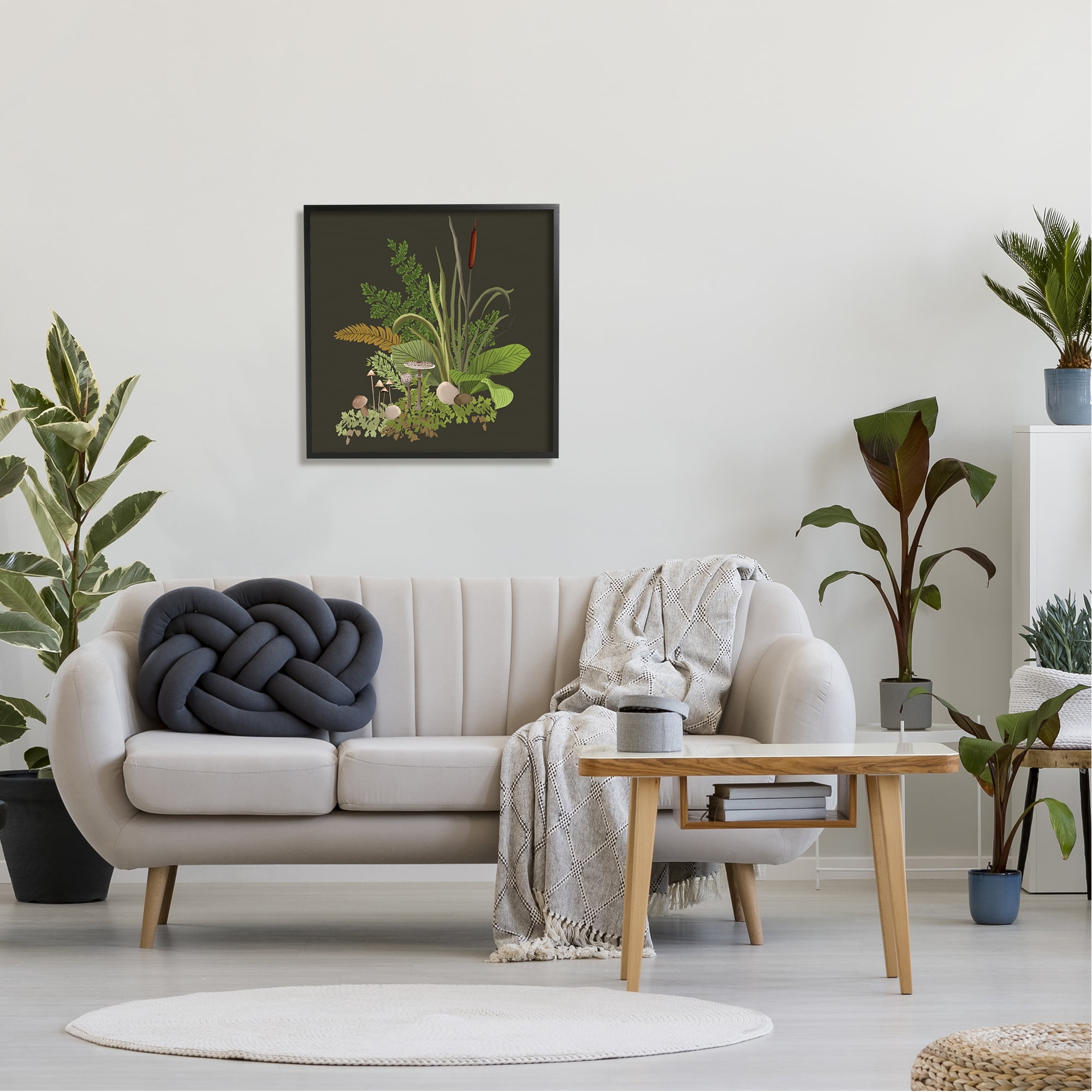 Stupell Industries Forest Botanicals Plants Ferns Mushrooms Sprouting Graphic Art Black Framed Art Print Wall Art, Design by House of Rose