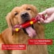 thumbnail image 2 of Juguetes para perros resistentes Apasiri, 2 of 2
