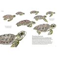 thumbnail image 4 of Beneath the Waves, 4 of 5