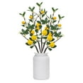 thumbnail image 3 of 5 Pcs Artificial Lemon Branches,25.98 Inch Faux Lemons Tree Decor, Faux Greenery Stems,Realistic Fake Lemons Picks,Fake Lemon Plant For Home,Dining Table Centerpieces,Wedding,Kitchen Decor,25.98 in, 3 of 4